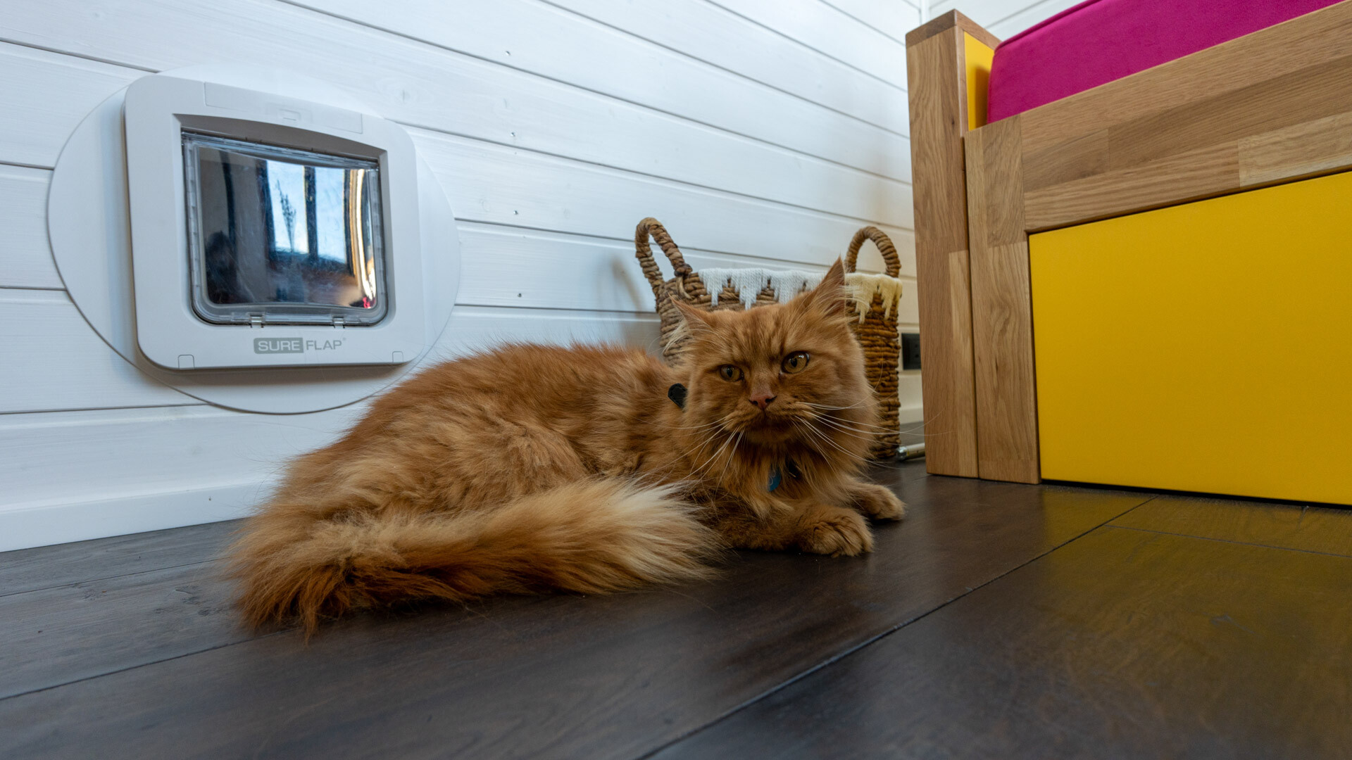 Mobi House – 5